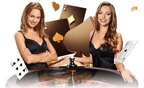tg8887 Live Casino